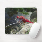 Libellenfliege auf Ast, nah Mousepad (Mit Mouse)