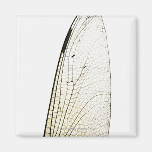 Libellenflügel Magnet
