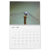 Libellenkalender 2027 kalender (Mär 2027)