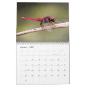 Libellenkalender 2027 kalender (Jan 2027)