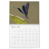 Libellenkalender 2027 kalender (Feb 2027)