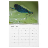 Libellenkalender 2027 kalender (Mär 2027)