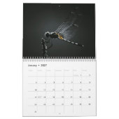 Libellenkalender 2027 kalender (Jan 2027)