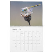 Libellenkalender 2027 kalender (Feb 2027)