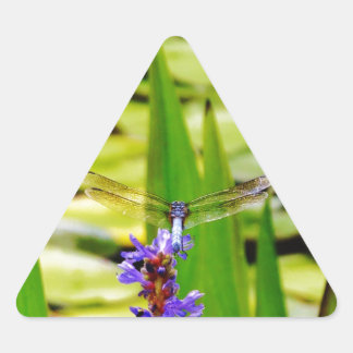 Libellenlotus und lila Blume Dreieckiger Aufkleber