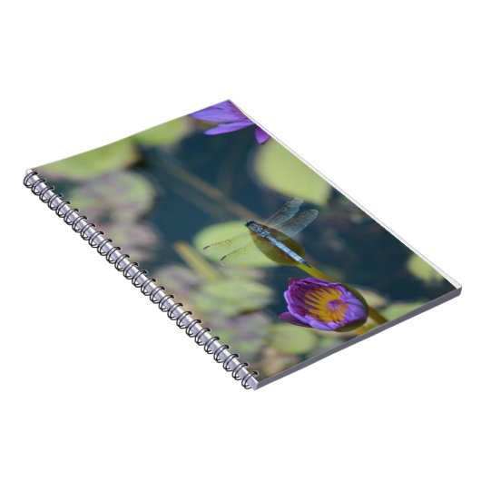 Libellennotizbuch Notizblock (Rechte Seite)