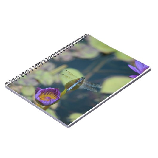 Libellennotizbuch Notizblock (Linke Seite)