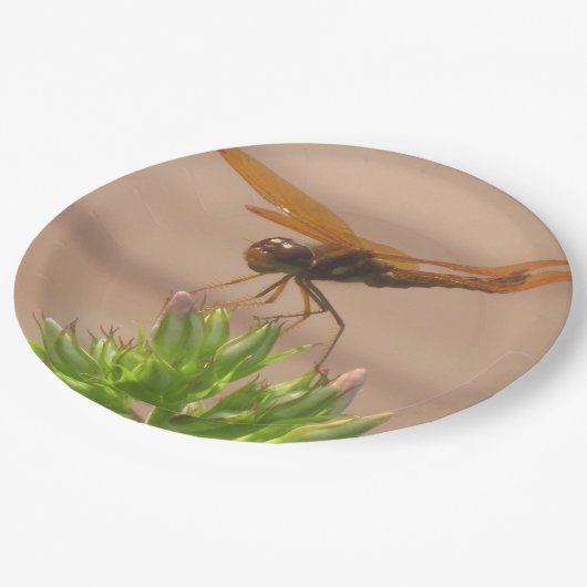 Libellenpapierplatte Pappteller (Schrägansicht)