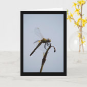 Libellenporträt mit Spazierstock Karte (Gelbe Blume)