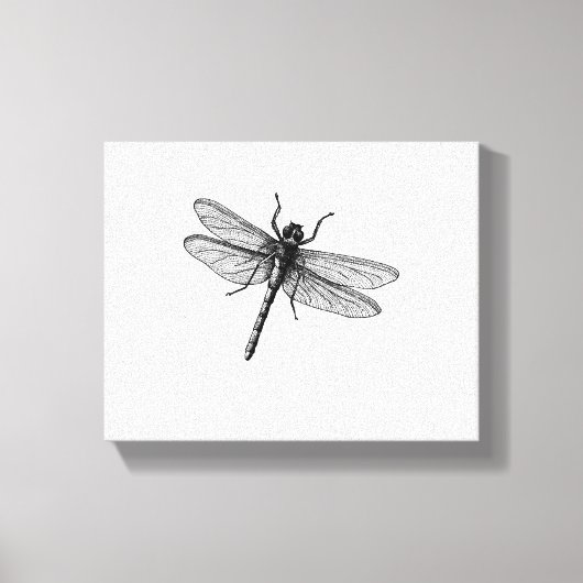 Libellenzubehör Leinwanddruck (Vorderseite)