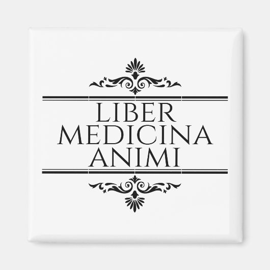 Liber Medicina Magnet (Vorne)