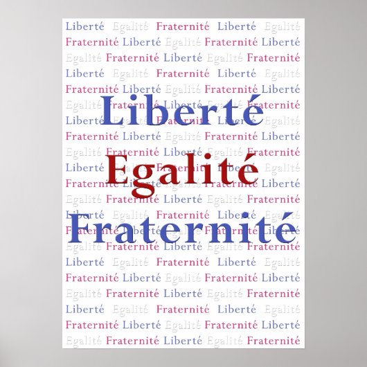 Liberte Egalite Fraternite Poster - Viva La France (Vorne)