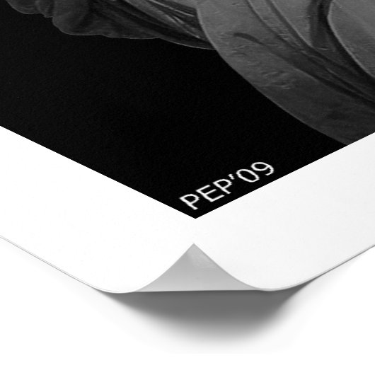 Liberty Deklared Poster (Ecke)