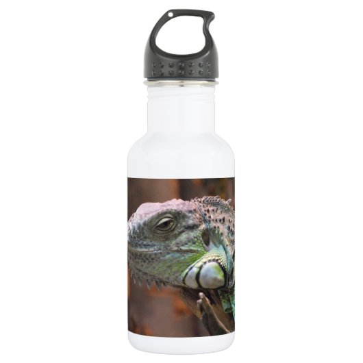Liberty Flasche mit farbiger Iguana-Eidechse Trinkflasche (Vorderseite)