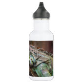 Liberty Flasche mit farbiger Iguana-Eidechse Trinkflasche (Rechts)