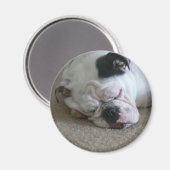 Liberty-Magnet Magnet (Vorderseite/Rückseite)