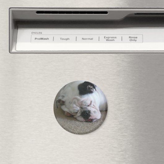 Liberty-Magnet Magnet (In Situ (Geschirrspüler))