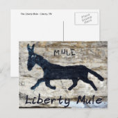 Liberty Mule - Freiheit, TN Postkarte (Vorne/Hinten)