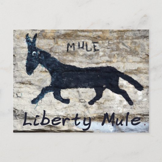 Liberty Mule - Freiheit, TN Postkarte (Vorderseite)