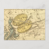 Libra, Skorpio Postkarte (Vorderseite)