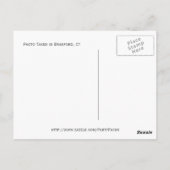 Library, Branford, Ct Postcard Postkarte (Rückseite)