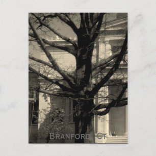 Library, Branford, Ct Postcard Postkarte