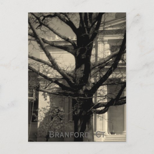 Library, Branford, Ct Postcard Postkarte (Vorderseite)