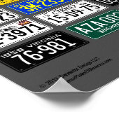 License Plates of America poster - 1958 (Ecke)