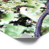 Lichen, Ainsworth Bay, Tierra del Fuego, Chile Poster (Ecke)