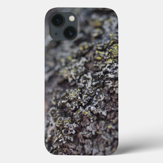 Lichen auf Bark Case-Mate iPhone Hülle (Rückseite)