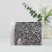 Lichen auf Bark Postkarte (Stehend Vorderseite)