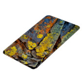 Lichen Covered Rocks Magnet (Linke Seite)