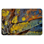 Lichen Covered Rocks Magnet (Horizontal)