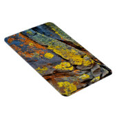 Lichen Covered Rocks Magnet (Rechte Seite)