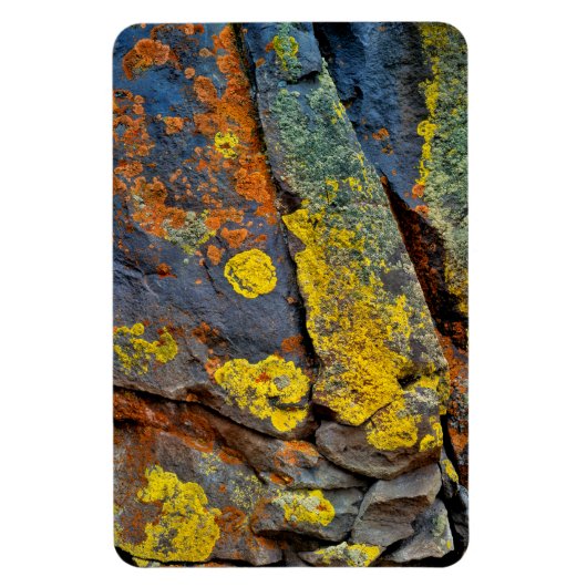 Lichen Covered Rocks Magnet (Vertikal)