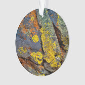 Lichen Covered Rocks Ornament (Vorderseite)