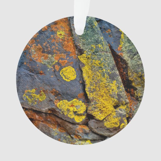 Lichen Covered Rocks Ornament (Vorderseite)
