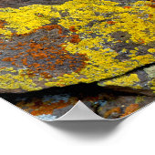 Lichen Covered Rocks Poster (Ecke)