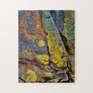 Lichen Covered Rocks Puzzle