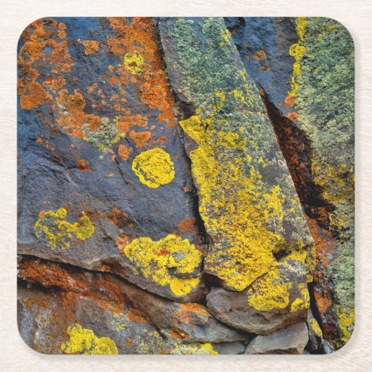 Lichen Covered Rocks Rechteckiger Pappuntersetzer (Vorderseite)