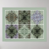 Lichen Geems Poster (Vorne)