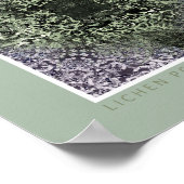 Lichen Geems Poster (Ecke)