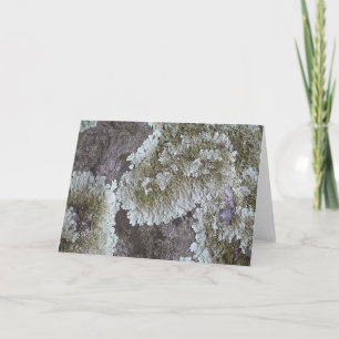 Lichen Karte