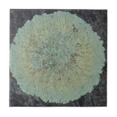 Lichen Mossy Circle Fliese (Vorderseite)