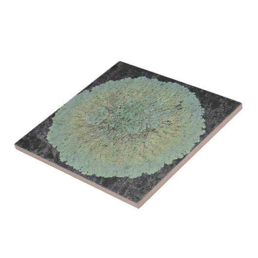 Lichen Mossy Circle Fliese (Seite)