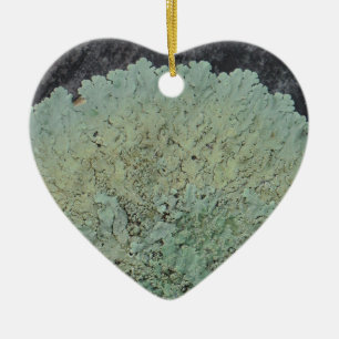 Lichen Mossy Circle Keramikornament