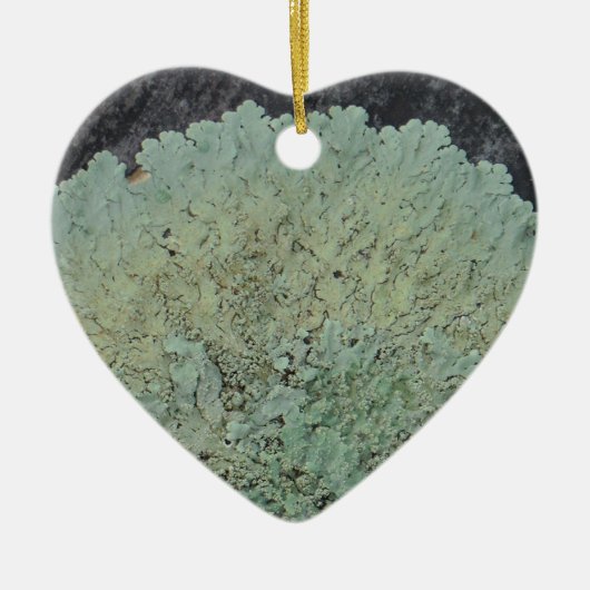Lichen Mossy Circle Keramikornament (Vorne)