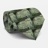 Lichen on Rock Krawatte (Gerollt)