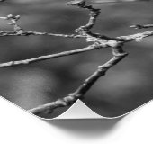Lichen Poster (Ecke)