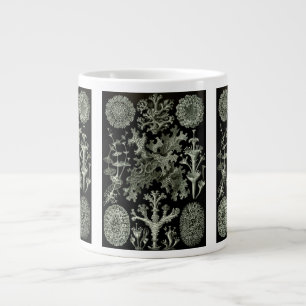 Lichen von Ernst Haeckel, Pflanze für Vintage Natu Jumbo-Tasse